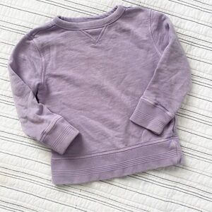 Gymboree Boys Everyday Sweatshirt In Lavender Haze size XXS Toddler 3 years